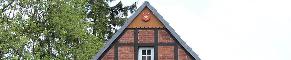 Lippische Rose Lippische Rose